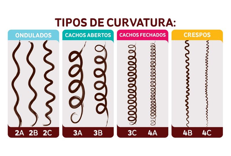 tipos-de-curvatura---Copia