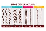 Tipos-de-Curvatura