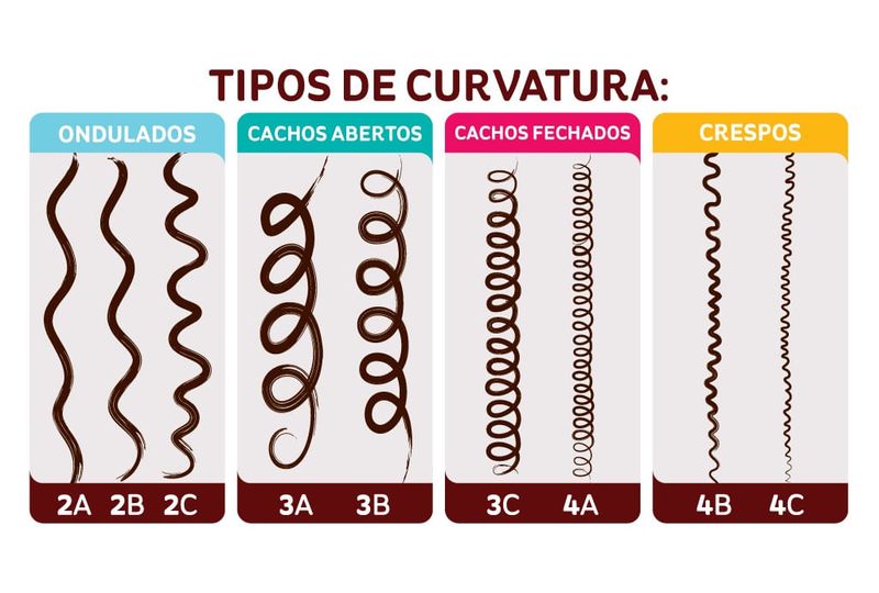 Tiposdecurvatura